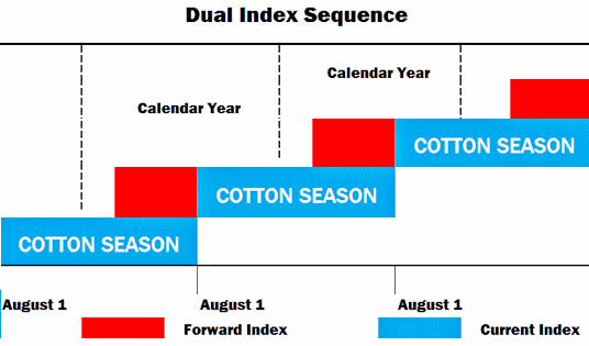 Dual index sequence